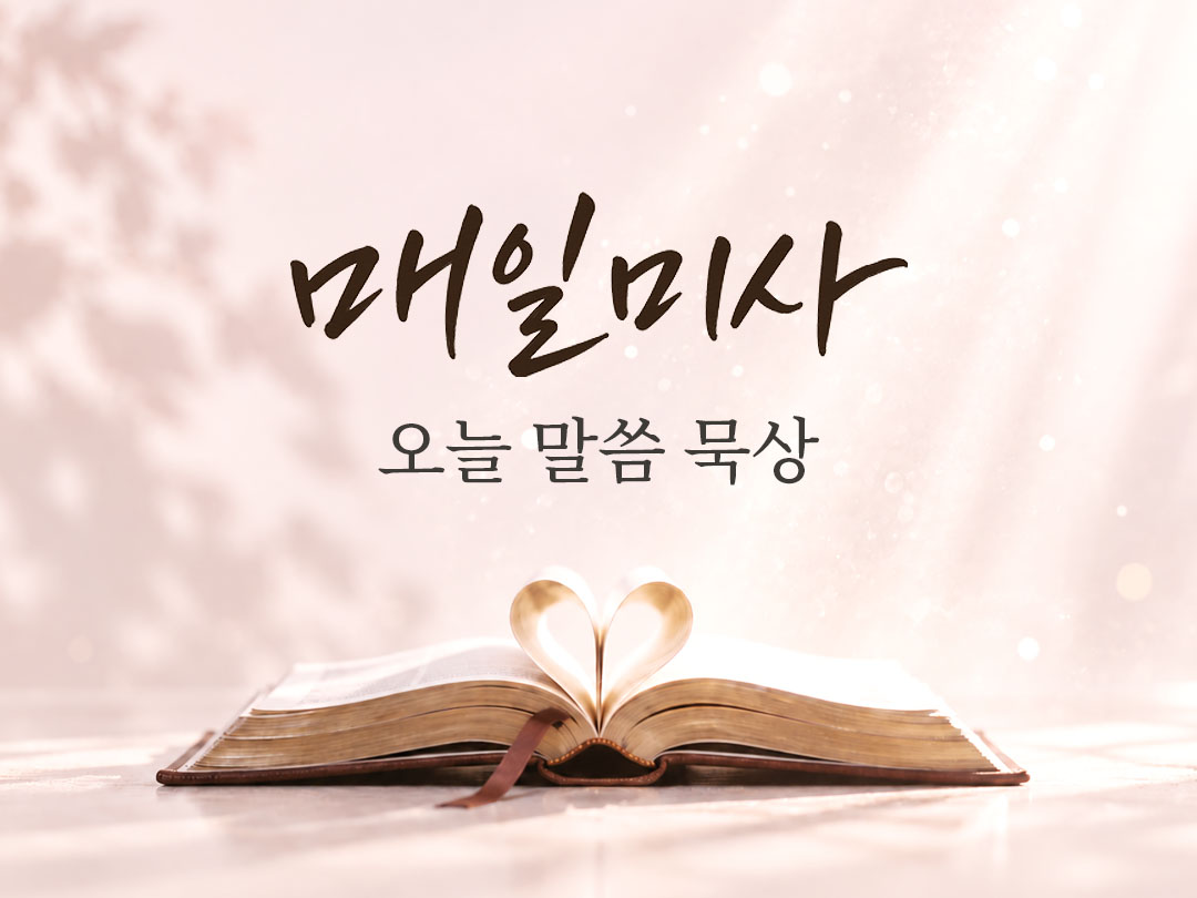 2026년 9월 22일 매일미사 오늘의 복음과 말씀 묵상