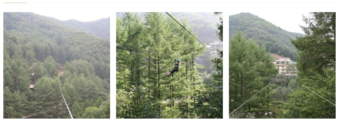 자연속 캠핑장 사진