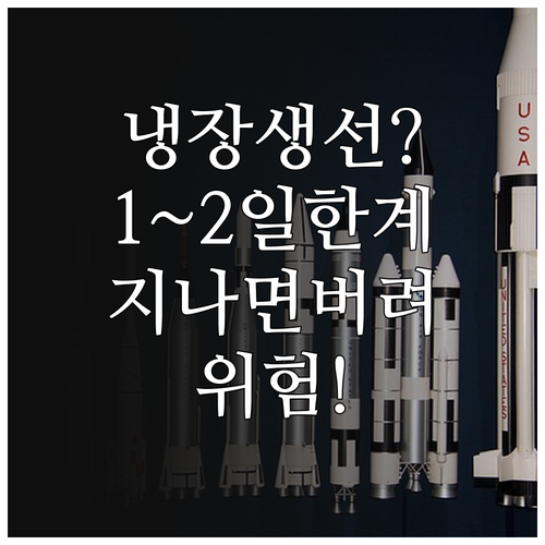 냉장 생선 안전한 섭취 기간은 1~2..