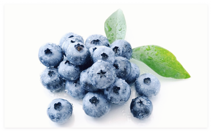 블루베리-효능-효소