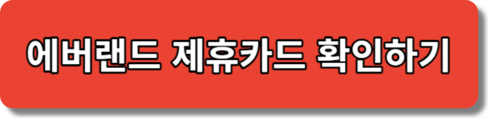 에버랜드 할인카드 제휴카드 확인하기