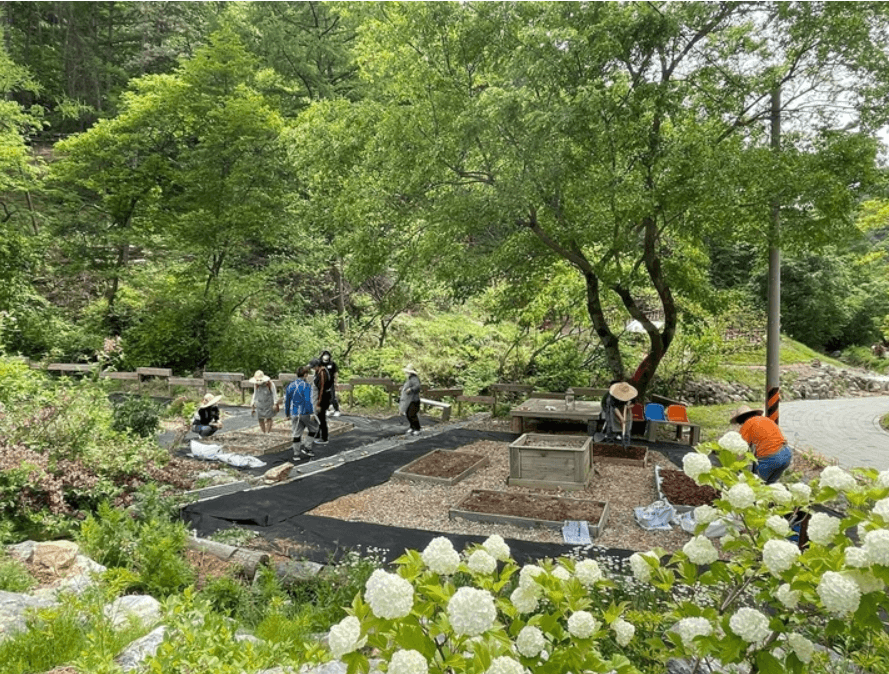 녹색처방전-우울감 낮추기-치유농원-치유농업프로그램-치유농장-치유농원-치유농업시설-치유농업법-장소-시간-가는길-안내