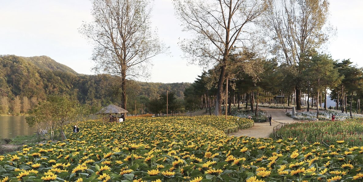 Colorful Garden 자라섬 꽃 페스타