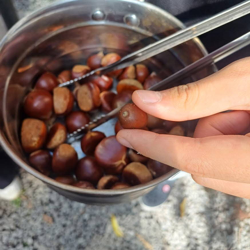 서현농원 후기 및 리뷰 