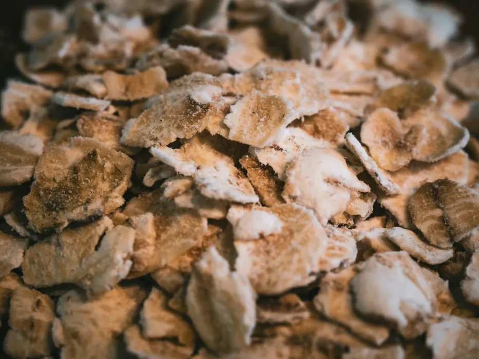 귀리-효능-부작용-하루-섭취량