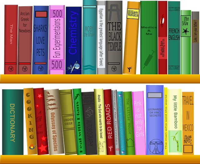 독서 관련 사진