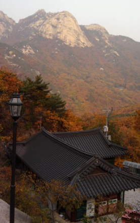 2025 북한산 단풍 절정 날짜 공개! 가을 등산 초보자 코스 & 꿀팁