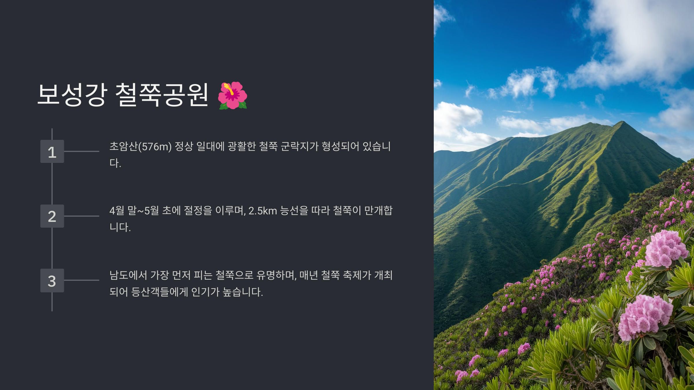 보성 가볼만한곳 베스트10