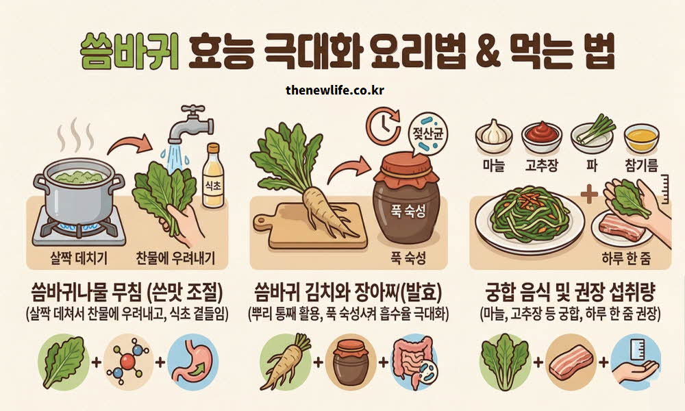씀바귀 효능 높이는 요리법 먹는법
