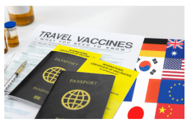 지방세 세목별 과세증명서 인터넷 발급 방법