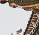 경복궁 교태전 예약