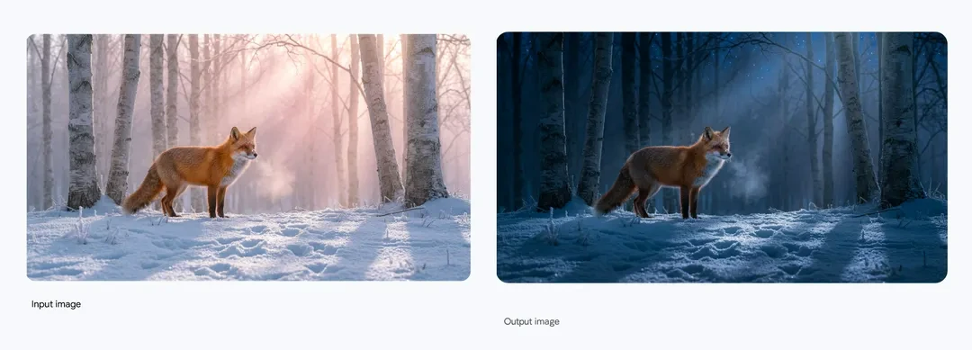 밤낮 조절 이미지