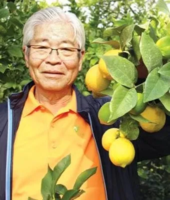 레몬 재배 화분 재배 실내 월동 가지 치기_8