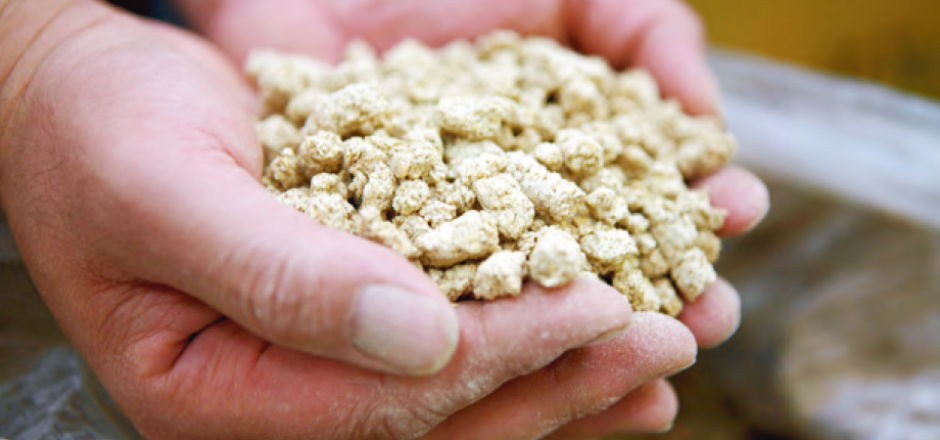 <충주 가볼만한곳 베스트10 중원 청명주 - 출처 충주 문화관광>