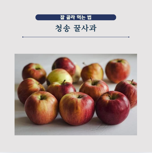마트에서 꿀사과 청송사과 잘 고르는 법