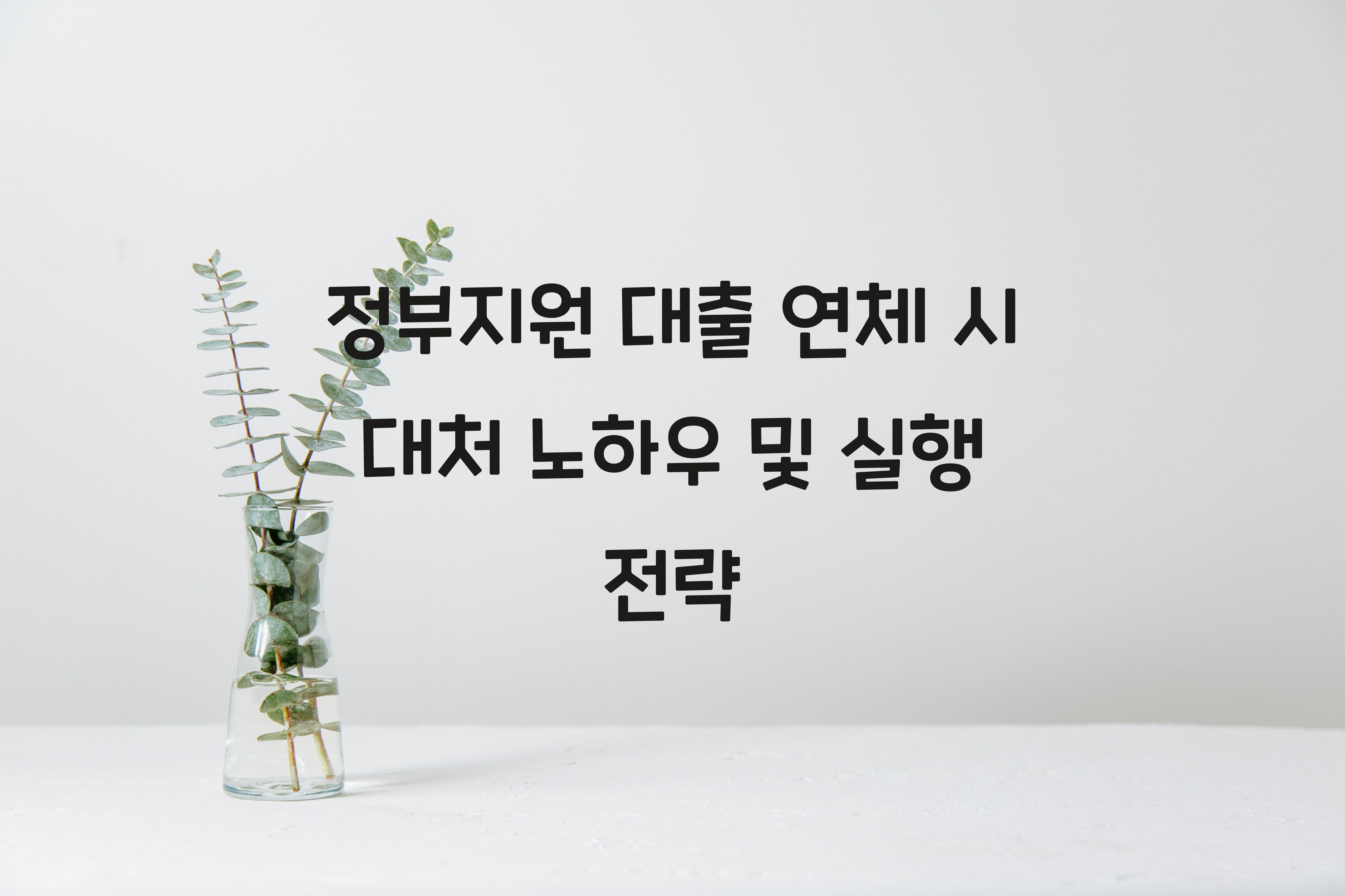정부지원 대출 연체 시 대처
