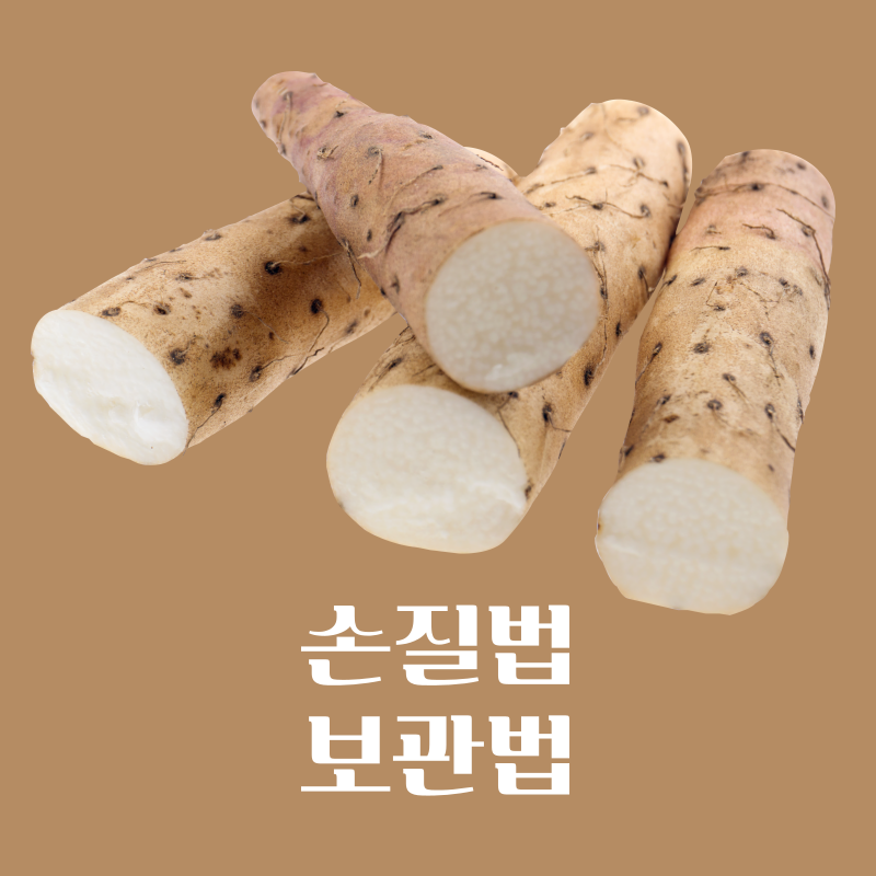 마즙효능