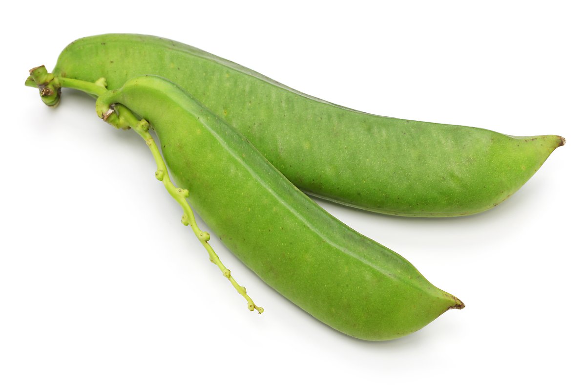 작두콩차 효능 및 부작용