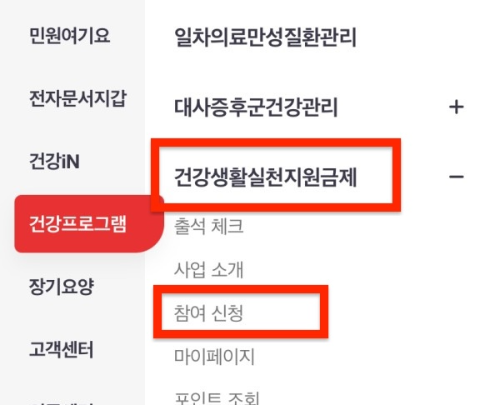 건강생활실천지원금