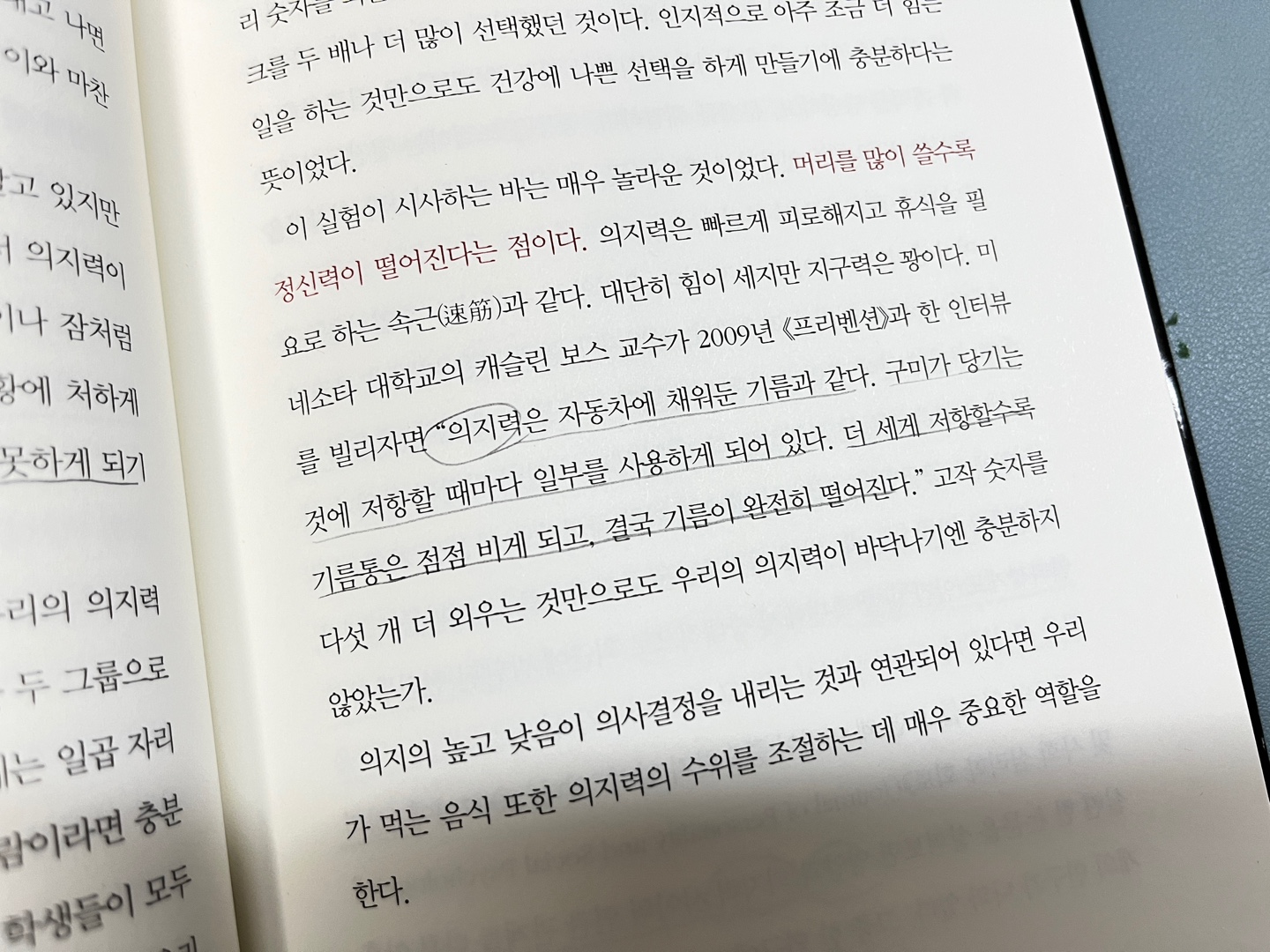 의지력