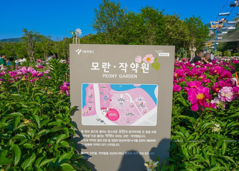 서울대공원 장미축제