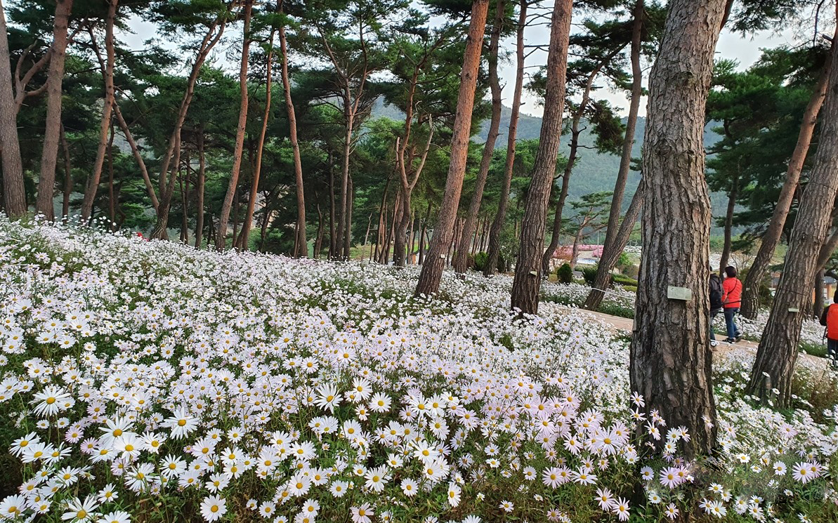 2025 건강도시 스탬프 투어