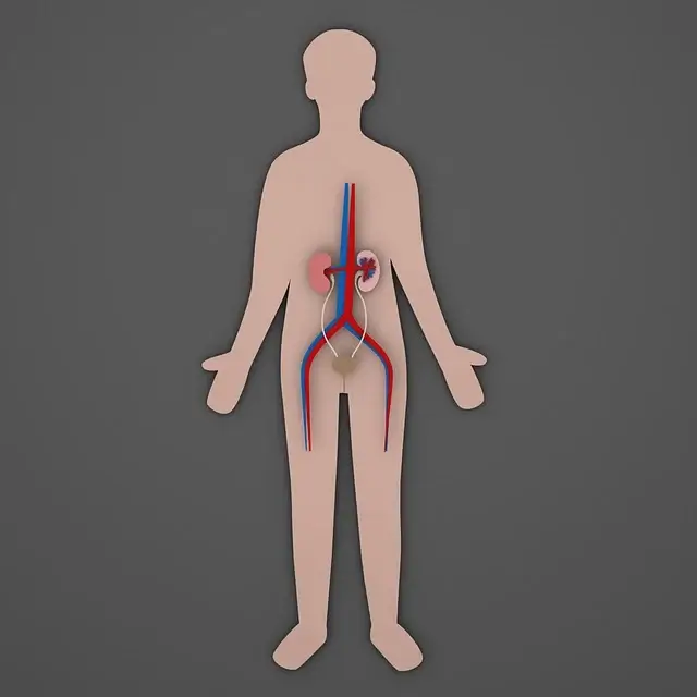 전립선 건강에 좋은 음식 좋은 운동 습관