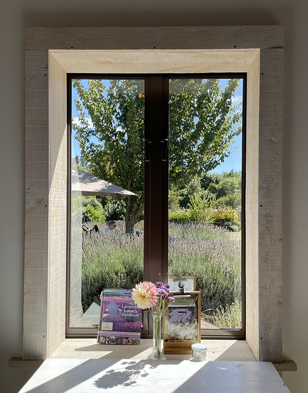 유칼립투스, 숨이 트이는 자연의 힘 향기블렌딩