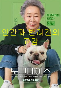 도그데이즈-한 노년의 여성이 반려견을 품고 앉아 있는 모습-여성은 청바지에 검은 티를 입고있음-개는흰색 프렌치 불도그임