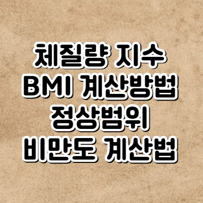 체질량 지수(BMI) 계산법 및 정상범위 (여자와 남자의 비만도 계산)