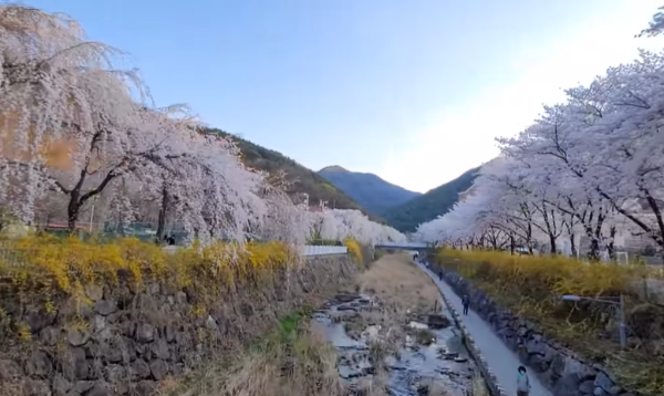 나만알고싶은여행지