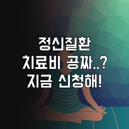 청년층 발병 초기 정신질환 치료비 지..