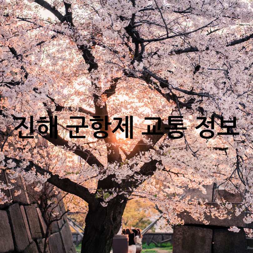 2025년 진해 군항제