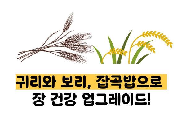 식이섬유가 많은 음식