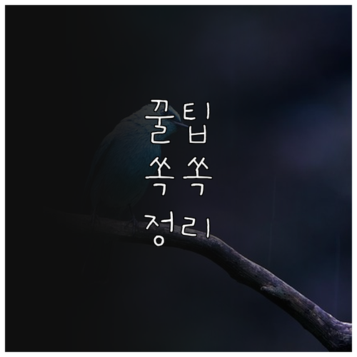 2025년 동작구 유기동물 입양비 지..