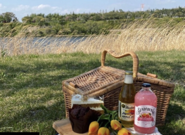 봄 소풍 카페 추천! 서울 경기 남해까지, 사진 맛집 피크닉 카페 BEST 4