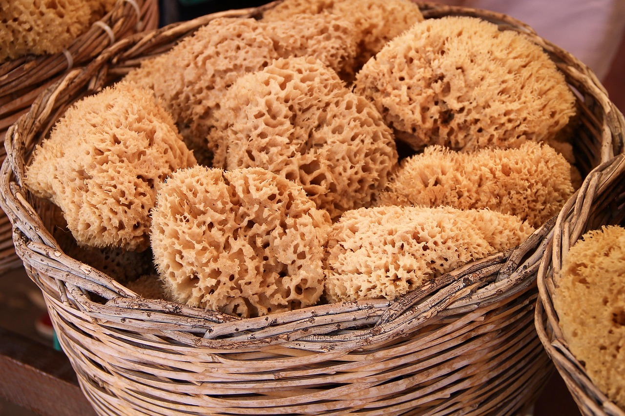 사랑니 발치 후 주의사항&amp;#44; 비용&amp;#44;실비보험&amp;#44;후 음식&amp;#44;후 통증&amp;#44; 전문병원&amp;#44;후 음주&amp;#44;후 드라이 소켓&amp;#44;시간 