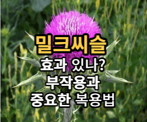 밀크씨슬