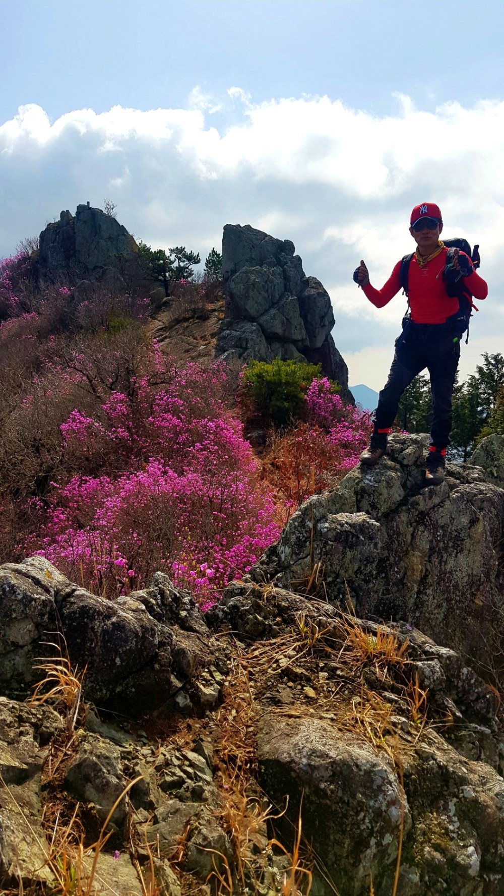 경남 진해 장복산 02