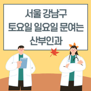 서울 강남구 토요일 일요일 산부인과 진료 병원 리스트