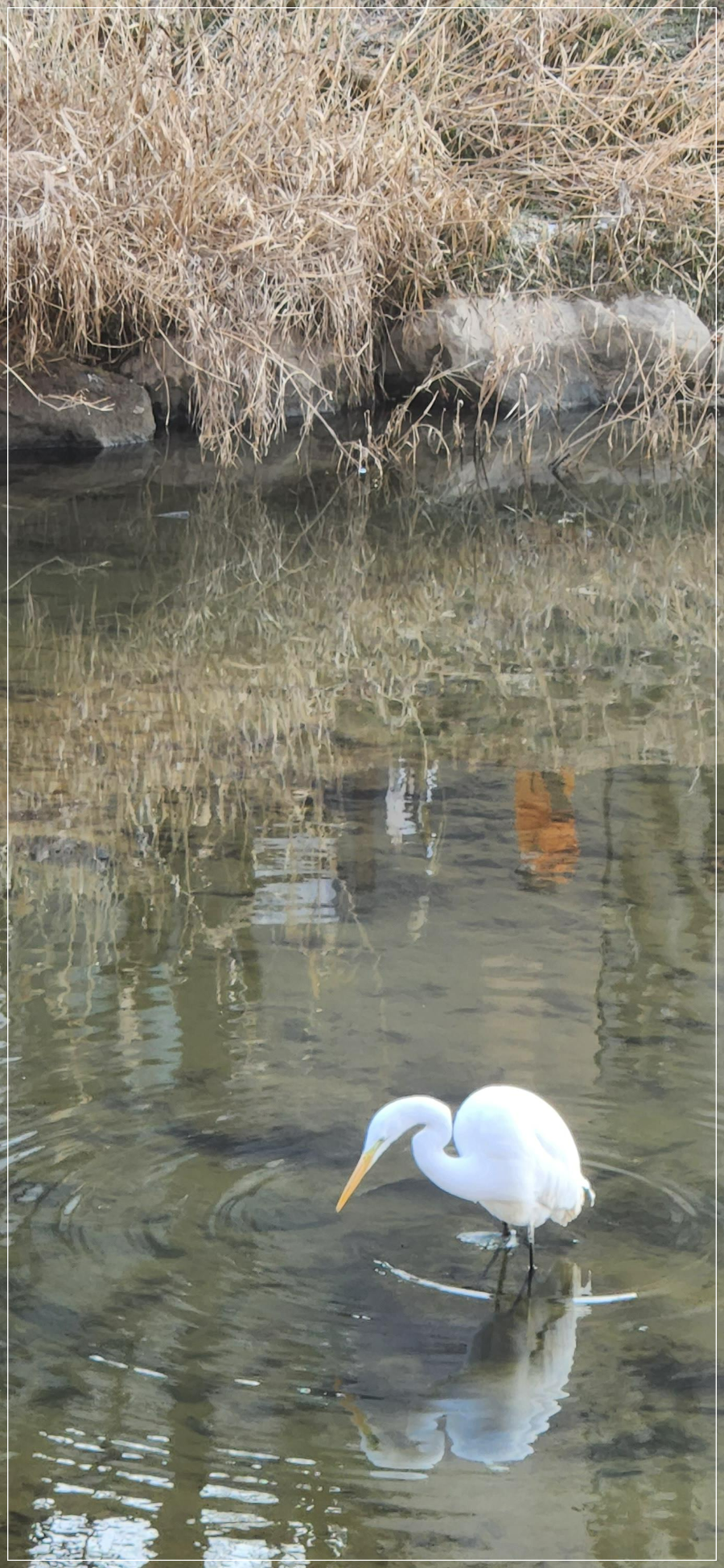 마포농수산물시장-상암다농마트-주차-및-영업시간