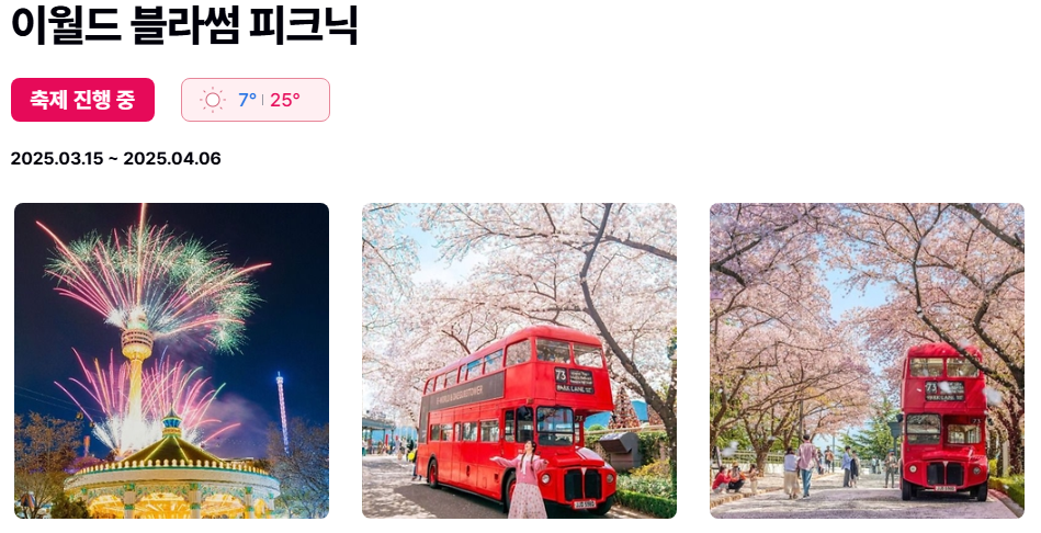 이월드 벚꽃 축제