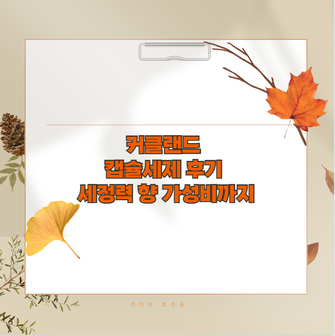 커클랜드 캡슐세제 후기 세정력 향 가성비까지