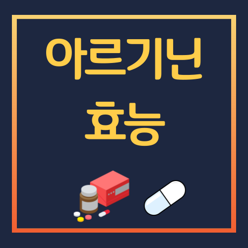 아르기닌 효능