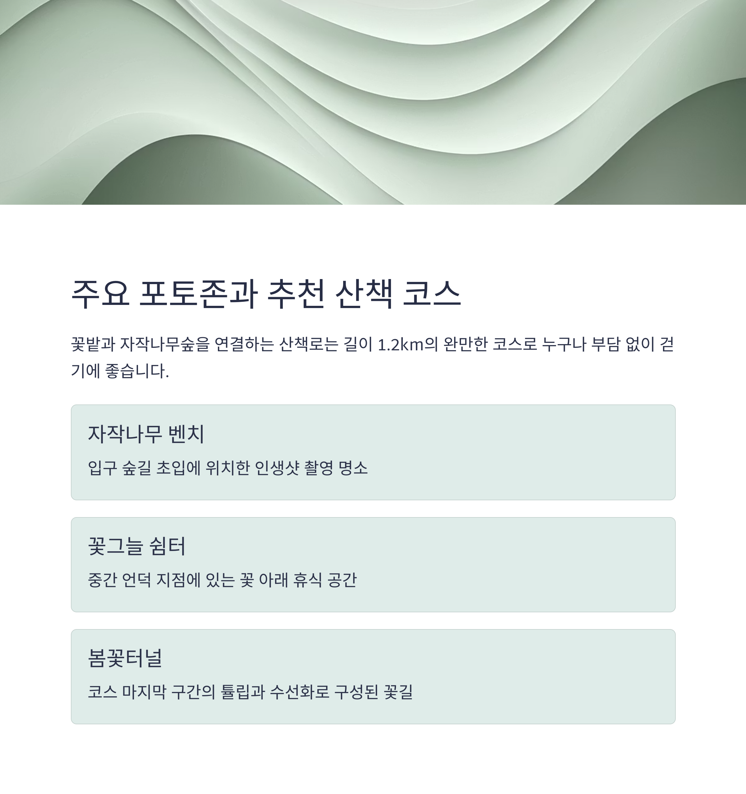 자연 속 힐링 산책, 용인 자작나무숲 봄꽃축제 2025