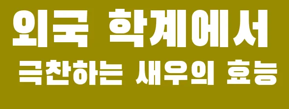 외국 학계에서 극찬하는 새우의 효능
