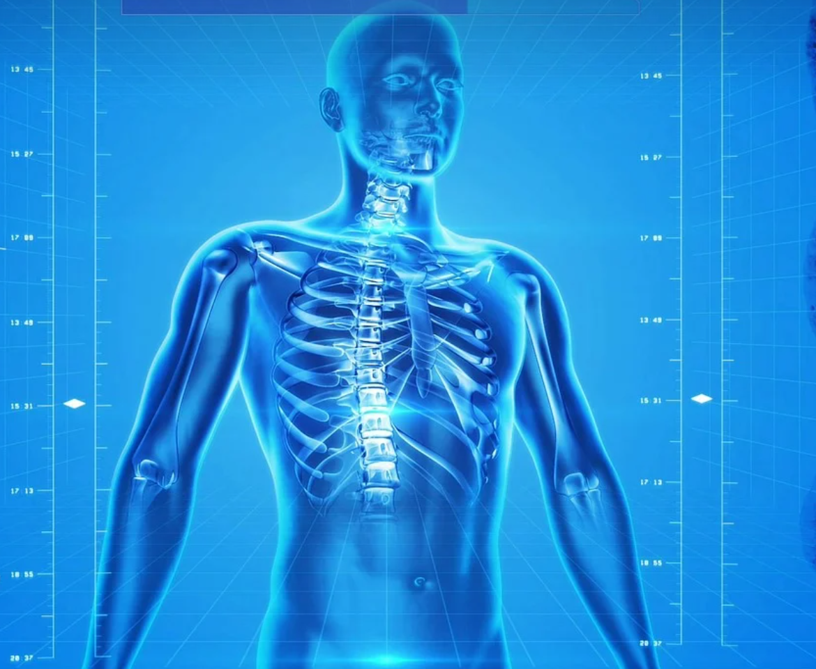 폭염대비건강수칙