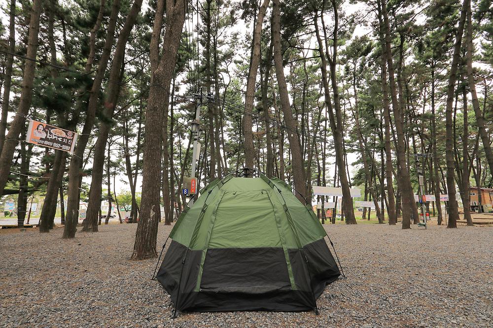 서천군 춘장대 나드리캠핑장 소개