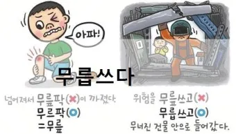무릅쓰다 무릎쓰다 맞춤법 맞는 표현_5