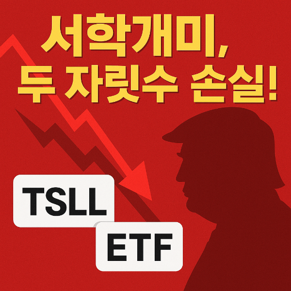 서학개미 미국 증시